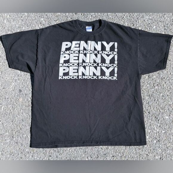 M&O Knits Other - Vtg 2010 The Big Bang Theory TV Show M&O Knits T-Shirt Size (XL)